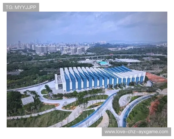 体育场馆运营合作模式创新，增加收益来源，体育场馆运营合作模式创新,增加收益来源的方法